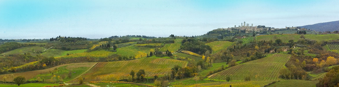 Yoga in Tuscany - San Gimignano 2016