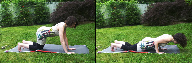 6-chaturanga