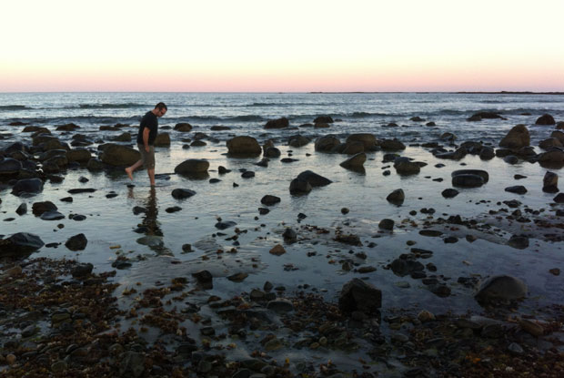 Looking for crabs on the Maine coast