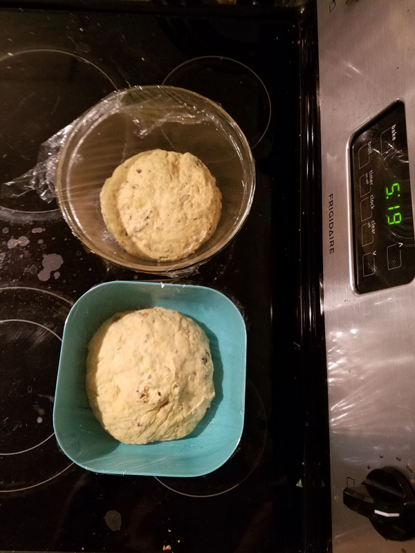 Vegan Panettone: First rise of the dough