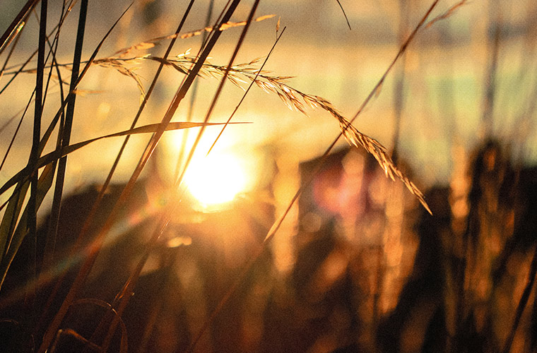 Ode to Optimism - Sunrise