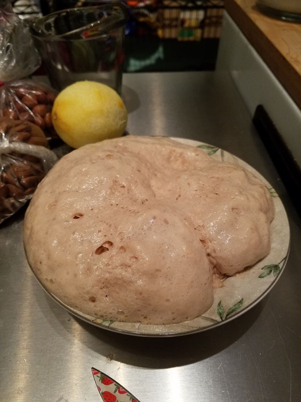 Vegan Panettone: Yeast Step 3