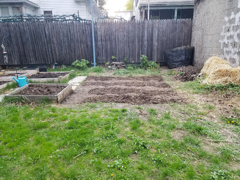 Loose, forked garden rows