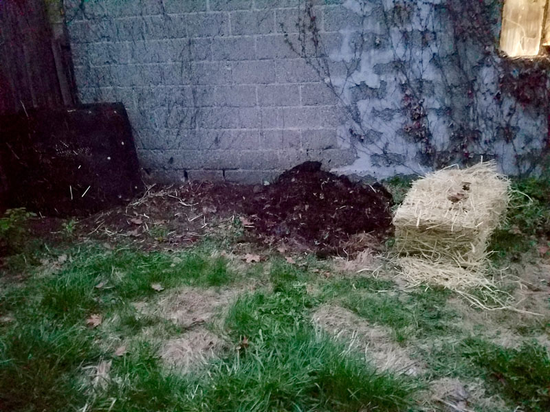 Compost Pile