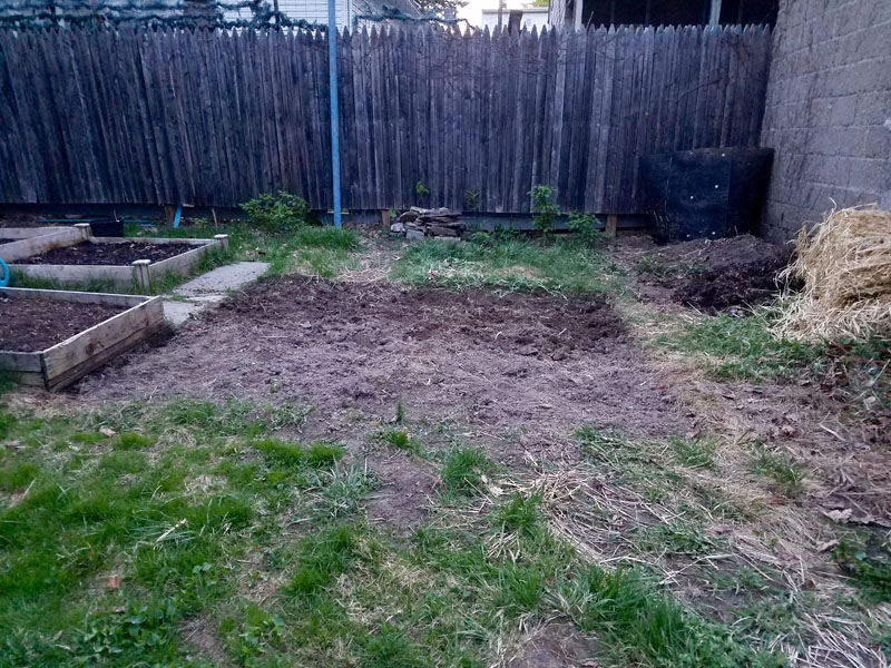 Gardening progress