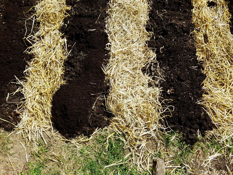 Straw and mulch compost